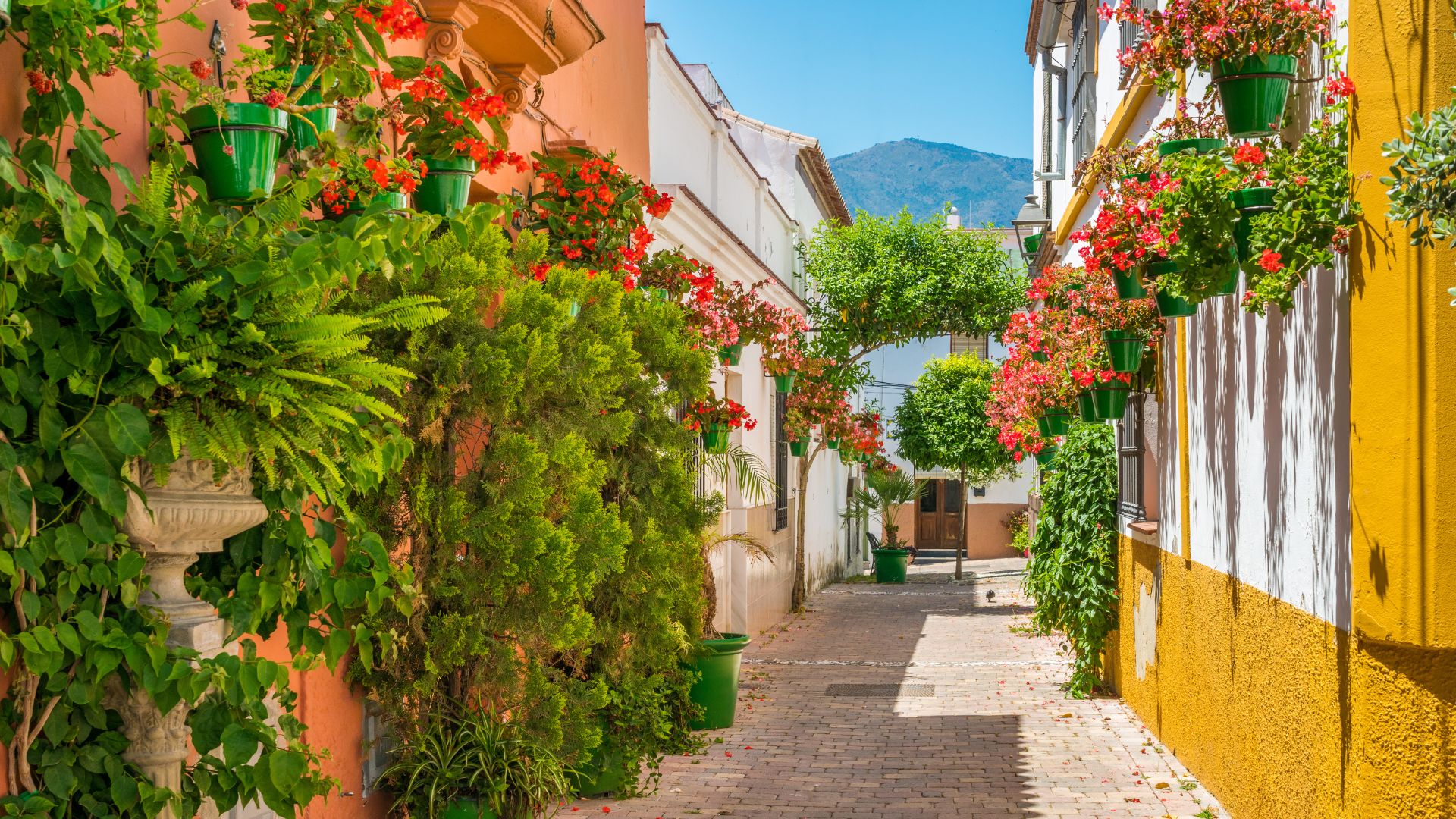 Estepona Area Guide | Serneholt Estate